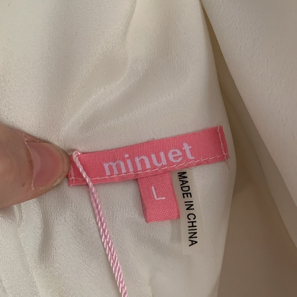 Minuet light green pleated organza dress with beaded waistband Size Large - Picture 8 of 11